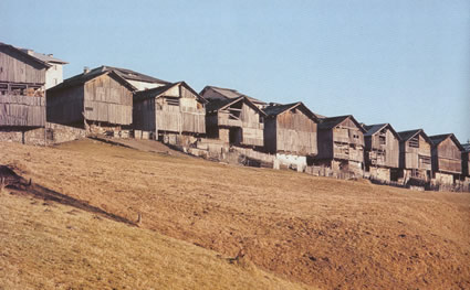 Orco Valley - July 2004