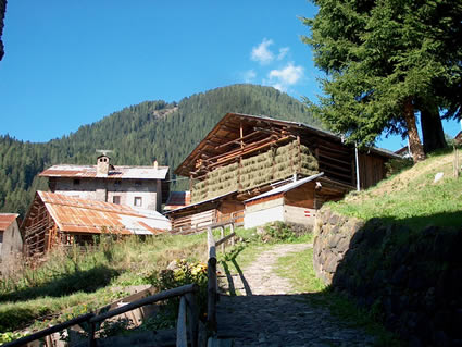 Orco Valley - July 2004